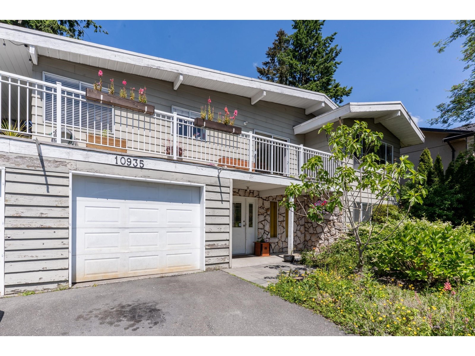 10935 Monroe Drive, Delta, British Columbia  V4C 1N2 - Photo 4 - R3003956