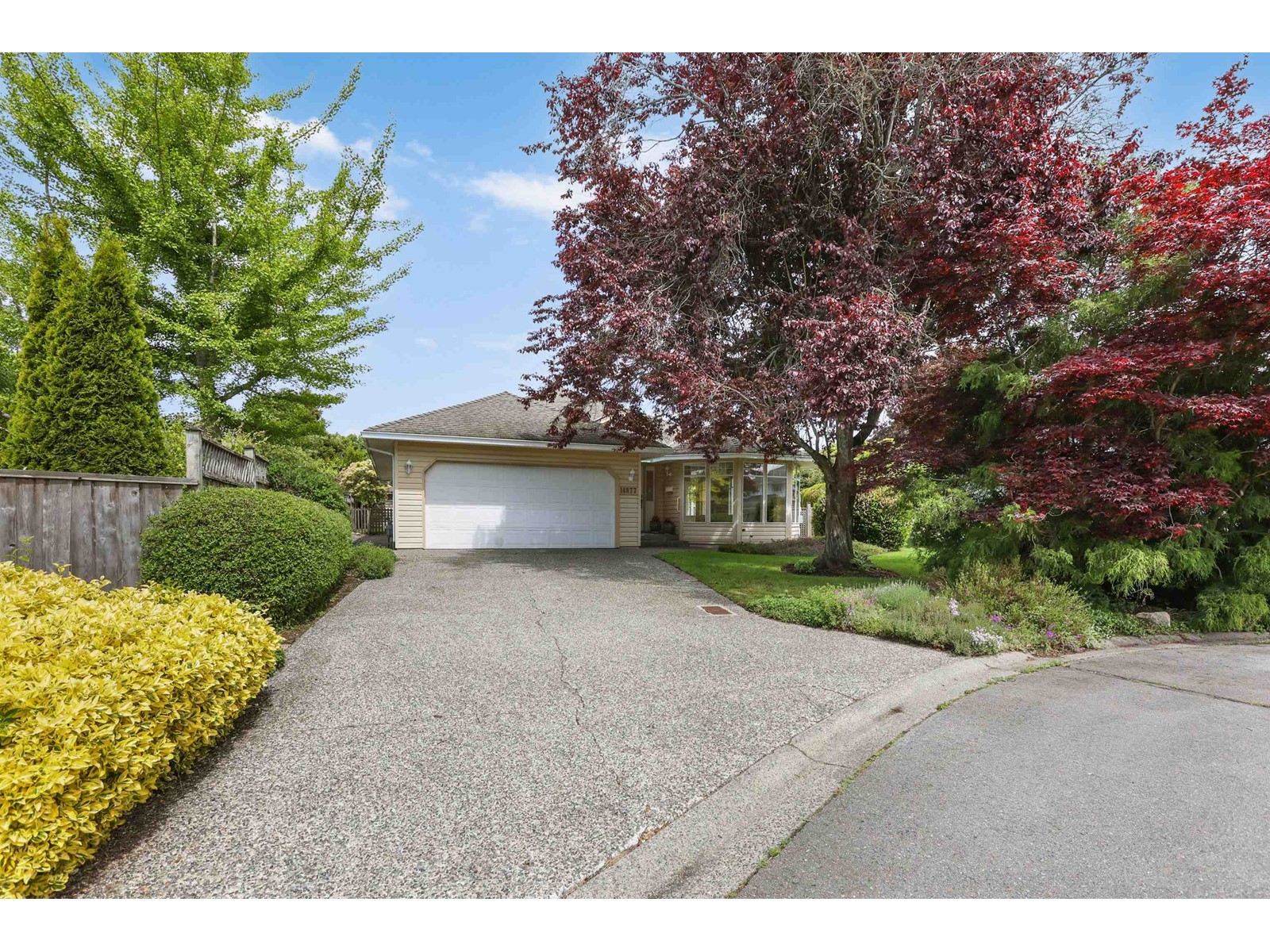 14077 17 Avenue, Surrey, British Columbia  V4A 8K4 - Photo 30 - R3006159