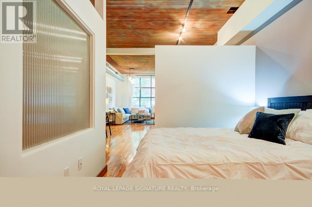 202 - 287 Richmond Street E, Toronto, Ontario  M5A 1P2 - Photo 16 - C12169470