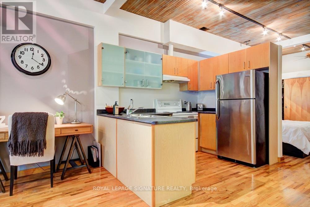 202 - 287 Richmond Street E, Toronto, Ontario  M5A 1P2 - Photo 7 - C12169470