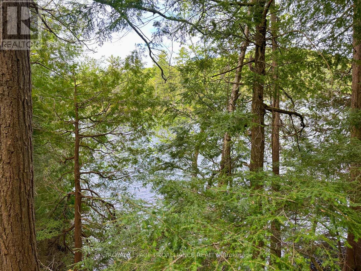 0 Granite Terrace Lane, Frontenac, Ontario  K0K 2J0 - Photo 4 - X12169453