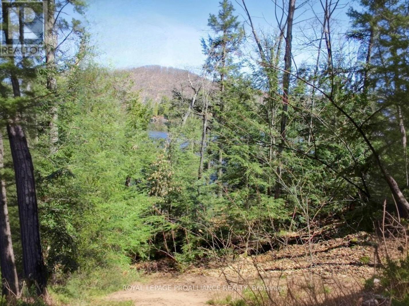 0 Granite Terrace Lane, Frontenac, Ontario  K0K 2J0 - Photo 3 - X12169453