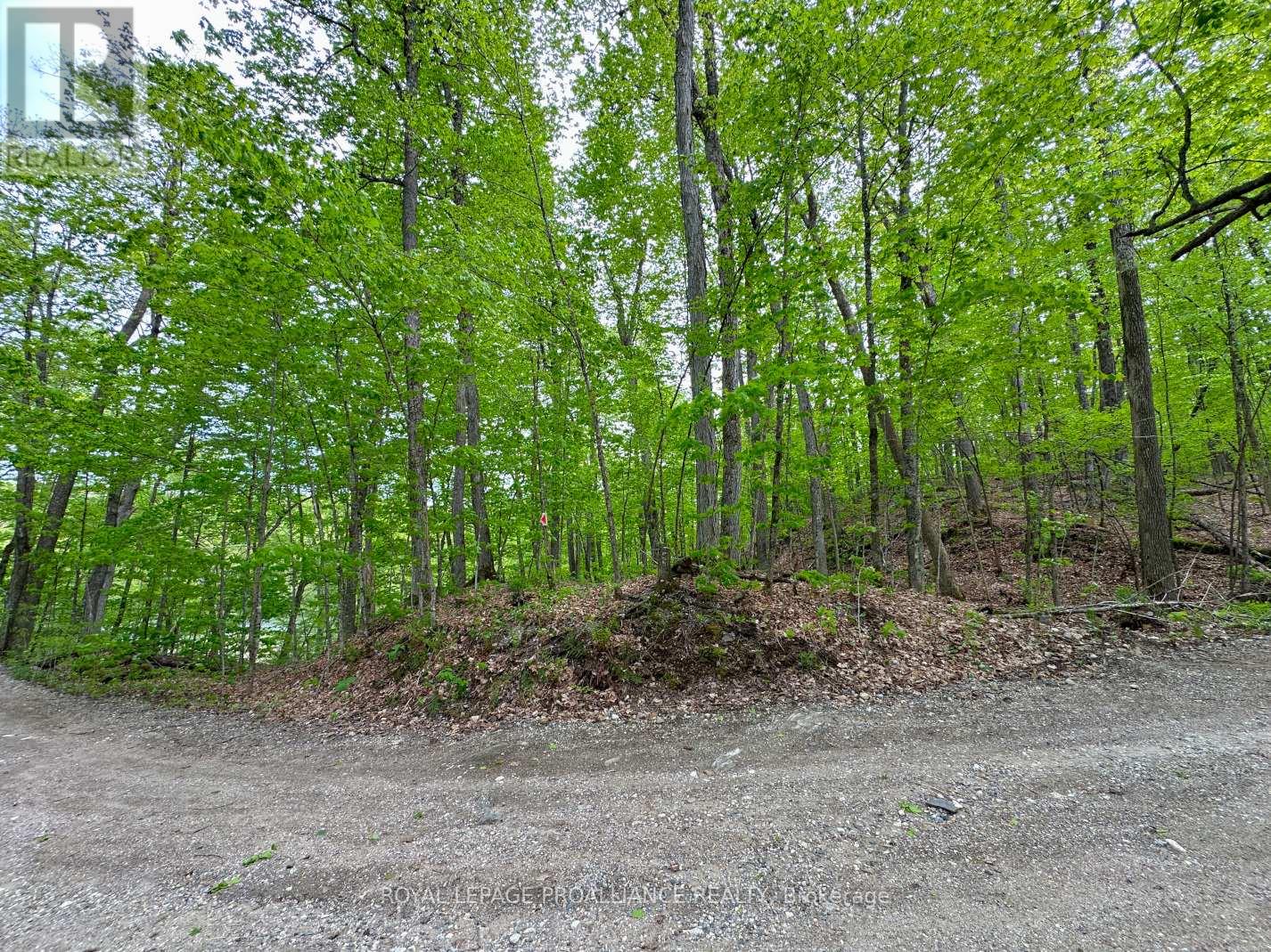 0 Granite Terrace Lane, Frontenac, Ontario  K0K 2J0 - Photo 8 - X12169453