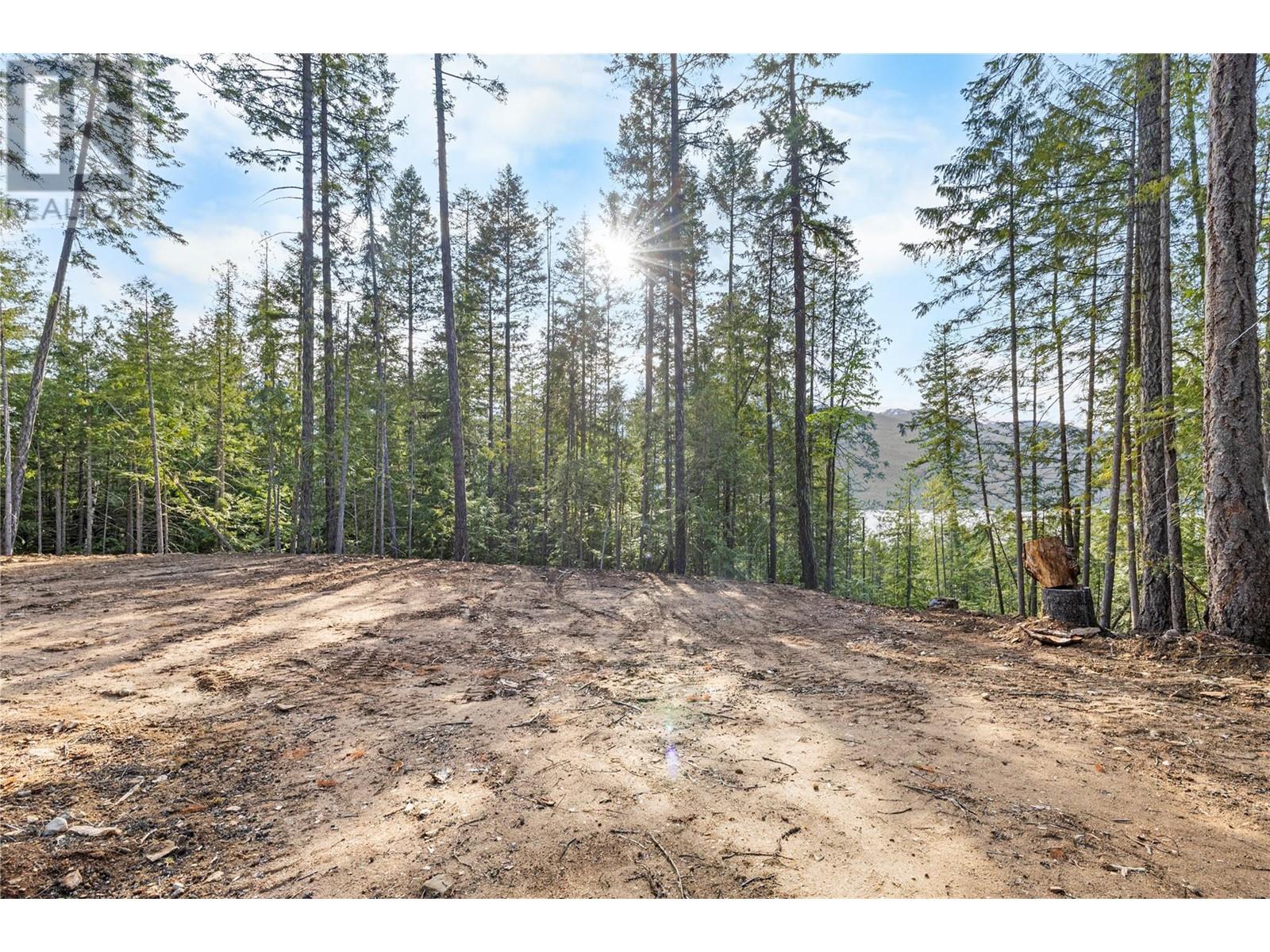 Lot 1 Riondel Road, Riondel, British Columbia  V0B 2B0 - Photo 1 - 10349140