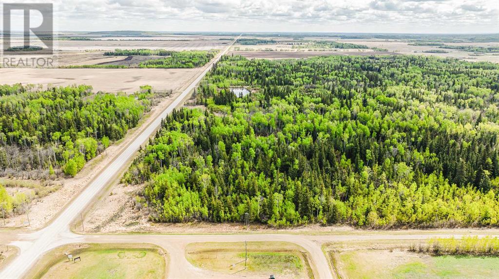 Nw-19-81-9-W6 Highway 681, Rural Saddle Hills County, Alberta  T0H 3V0 - Photo 8 - A2208104