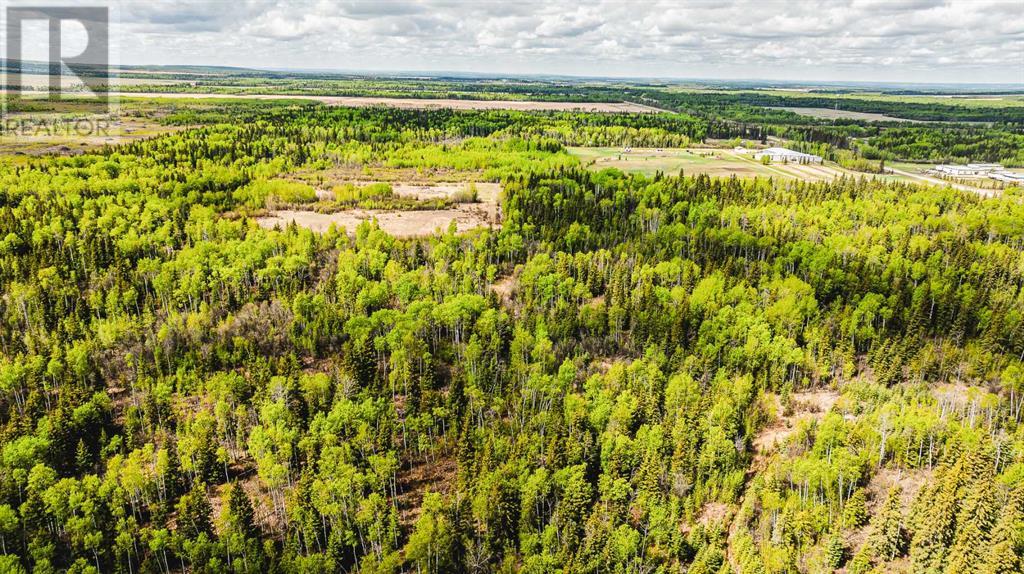 Nw-19-81-9-W6 Highway 681, Rural Saddle Hills County, Alberta  T0H 3V0 - Photo 23 - A2208104