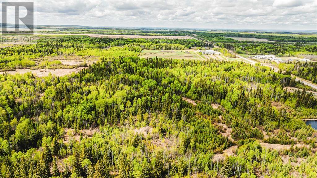 Nw-19-81-9-W6 Highway 681, Rural Saddle Hills County, Alberta  T0H 3V0 - Photo 24 - A2208104