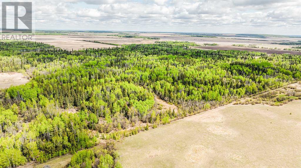 Nw-19-81-9-W6 Highway 681, Rural Saddle Hills County, Alberta  T0H 3V0 - Photo 16 - A2208104