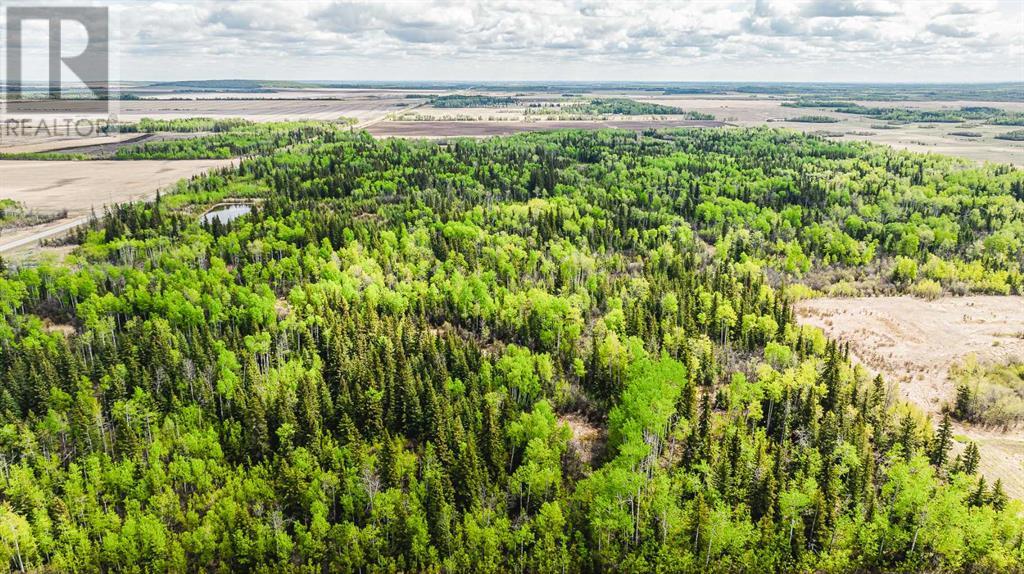 Nw-19-81-9-W6 Highway 681, Rural Saddle Hills County, Alberta  T0H 3V0 - Photo 10 - A2208104