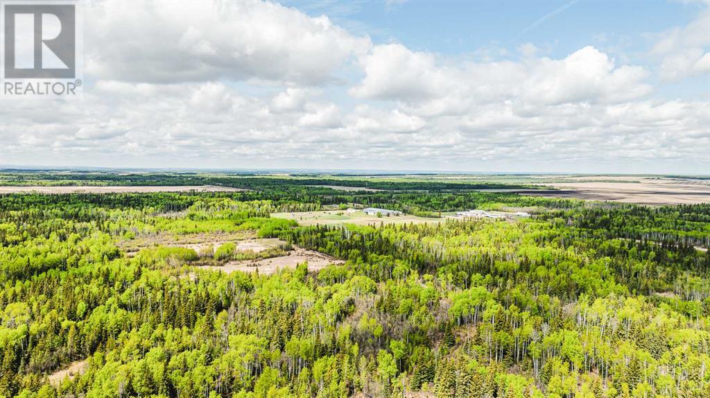 Nw-19-81-9-W6 Highway 681, Rural Saddle Hills County, Alberta  T0H 3V0 - Photo 21 - A2208104