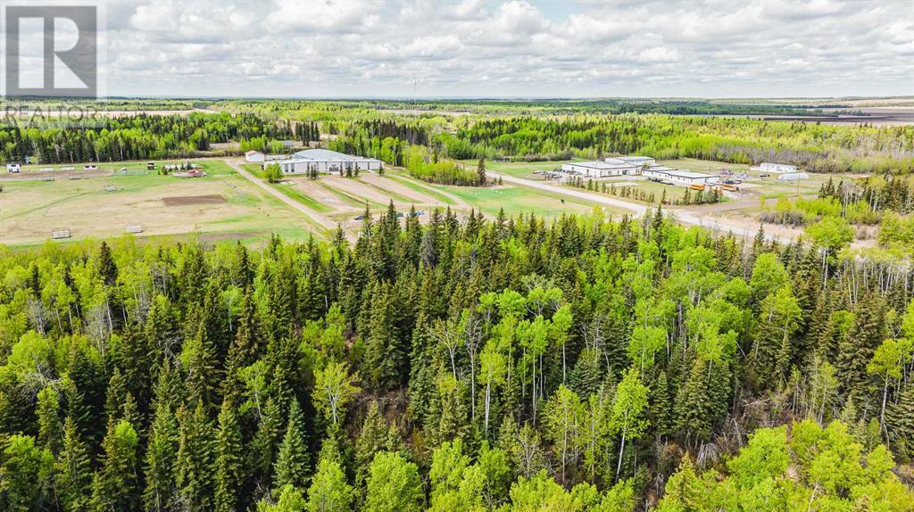 Nw-19-81-9-W6 Highway 681, Rural Saddle Hills County, Alberta  T0H 3V0 - Photo 3 - A2208104