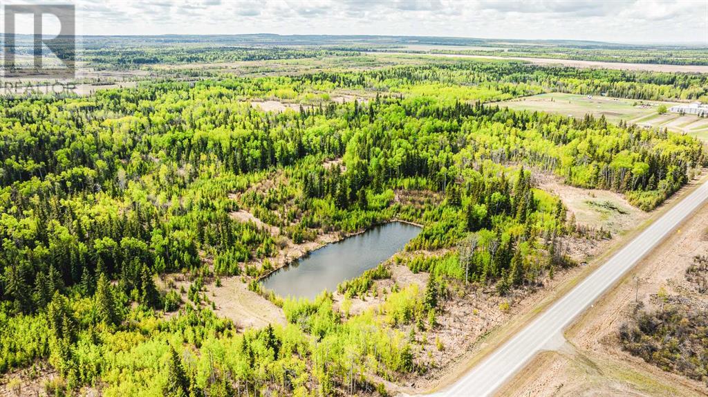 Nw-19-81-9-W6 Highway 681, Rural Saddle Hills County, Alberta  T0H 3V0 - Photo 5 - A2208104