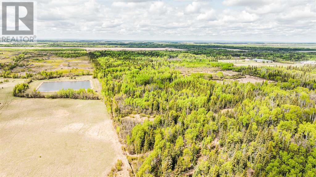 Nw-19-81-9-W6 Highway 681, Rural Saddle Hills County, Alberta  T0H 3V0 - Photo 19 - A2208104