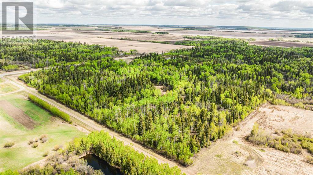 Nw-19-81-9-W6 Highway 681, Rural Saddle Hills County, Alberta  T0H 3V0 - Photo 11 - A2208104