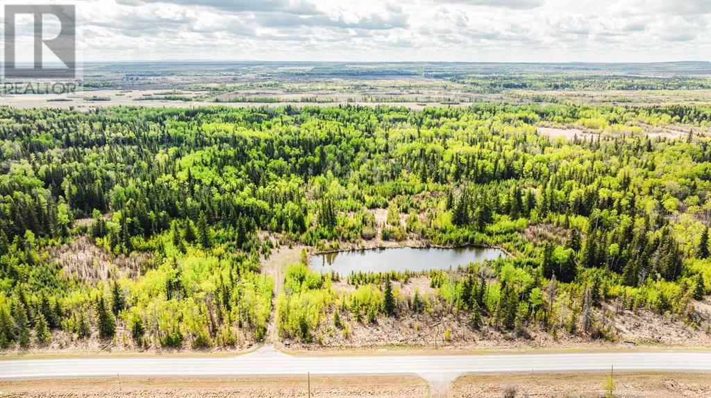 Nw-19-81-9-W6 Highway 681, Rural Saddle Hills County, Alberta  T0H 3V0 - Photo 6 - A2208104