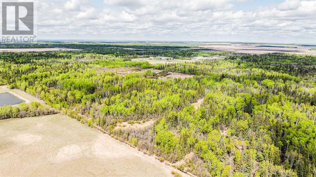 Nw-19-81-9-W6 Highway 681, Rural Saddle Hills County, Alberta  T0H 3V0 - Photo 18 - A2208104
