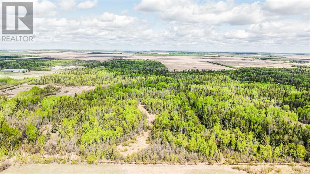 Nw-19-81-9-W6 Highway 681, Rural Saddle Hills County, Alberta  T0H 3V0 - Photo 17 - A2208104