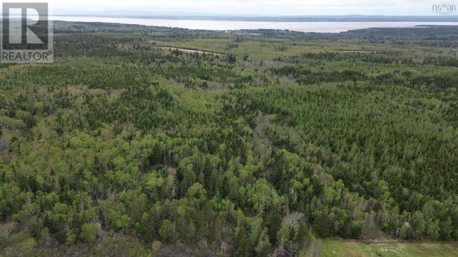 4855 Barronsfield Road, Barronsfield, Nova Scotia  B0L 1G0 - Photo 7 - 202511897