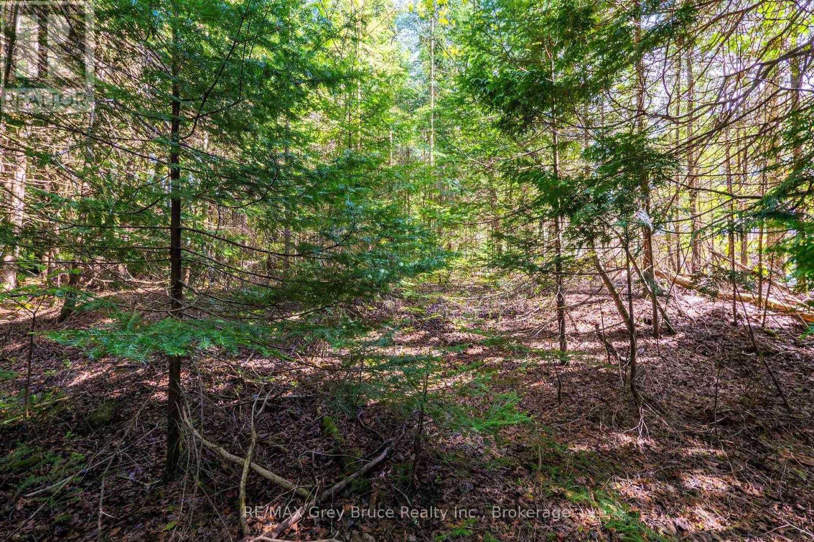 Unit 6 Stokes Bay Road, Northern Bruce Peninsula, Ontario  N0H 1W0 - Photo 3 - X12128378