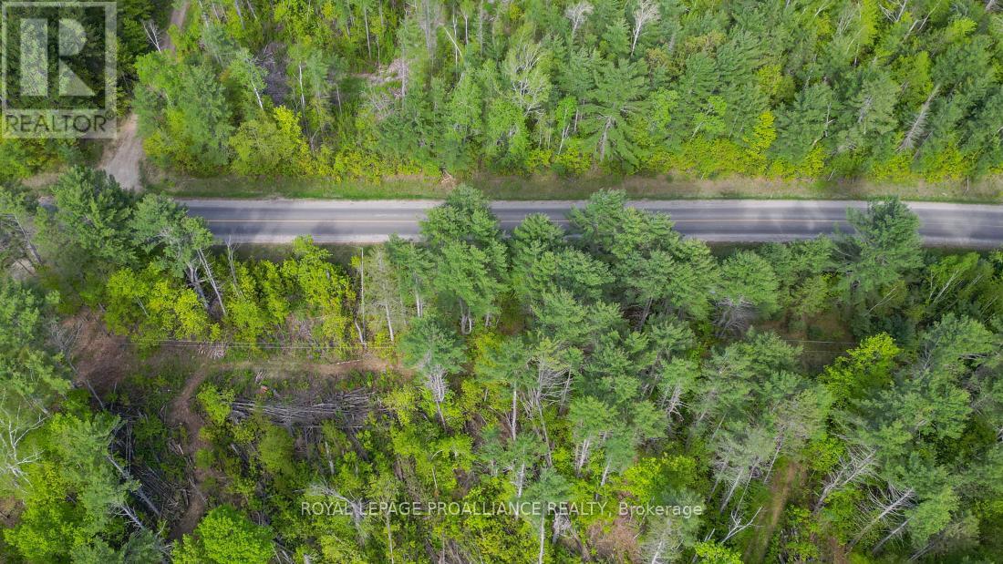 3776 B Buckshot Lake Road, Addington Highlands, Ontario  K0H 2M0 - Photo 11 - X12169921