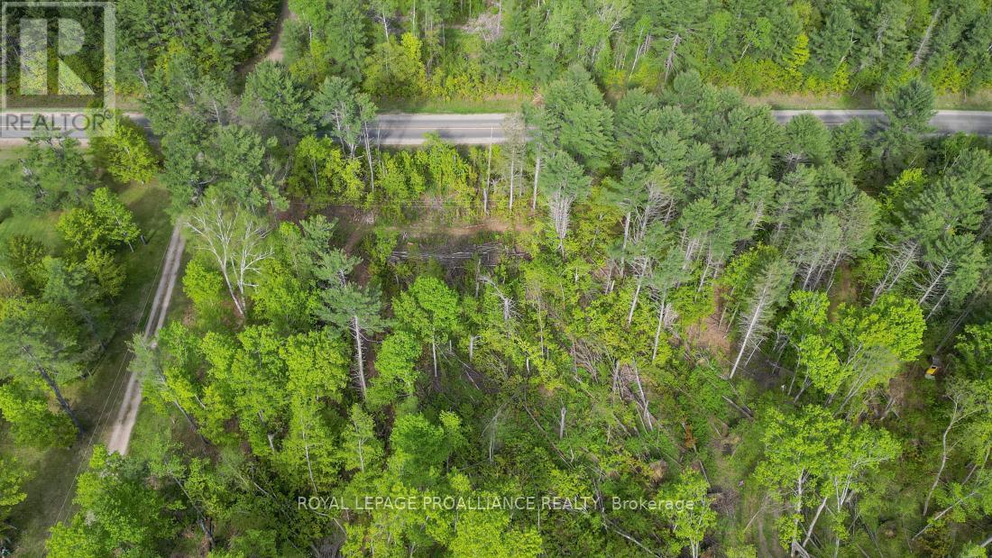 3776 B Buckshot Lake Road, Addington Highlands, Ontario  K0H 2M0 - Photo 12 - X12169921