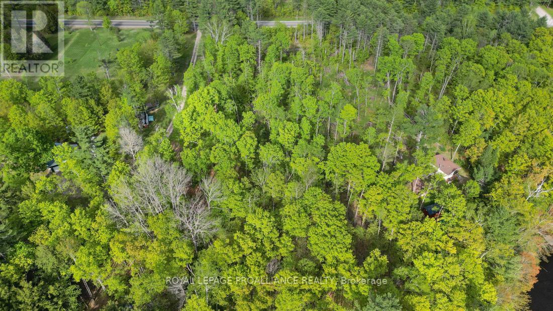 3776 B Buckshot Lake Road, Addington Highlands, Ontario  K0H 2M0 - Photo 14 - X12169921