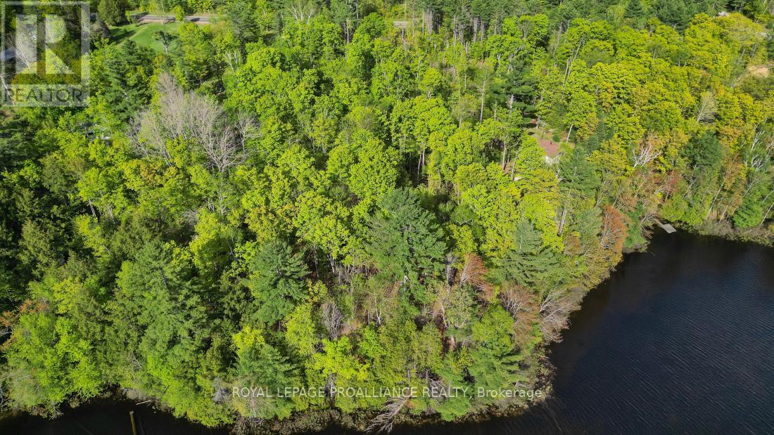 3776 B Buckshot Lake Road, Addington Highlands, Ontario  K0H 2M0 - Photo 15 - X12169921