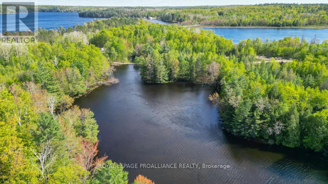 3776 B Buckshot Lake Road, Addington Highlands, Ontario  K0H 2M0 - Photo 17 - X12169921