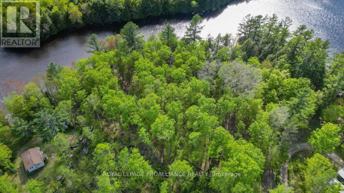 3776 B Buckshot Lake Road, Addington Highlands, Ontario  K0H 2M0 - Photo 2 - X12169921