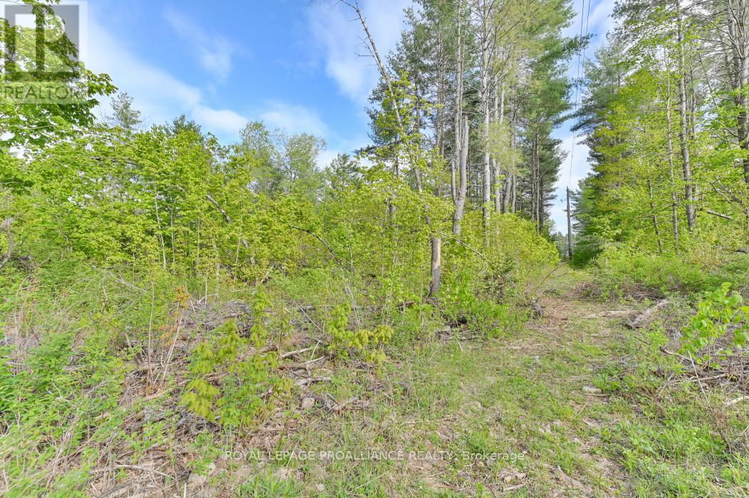 3776 B Buckshot Lake Road, Addington Highlands, Ontario  K0H 2M0 - Photo 3 - X12169921