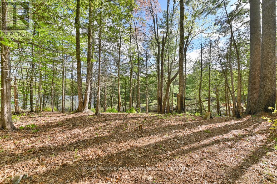 3776 B Buckshot Lake Road, Addington Highlands, Ontario  K0H 2M0 - Photo 6 - X12169921