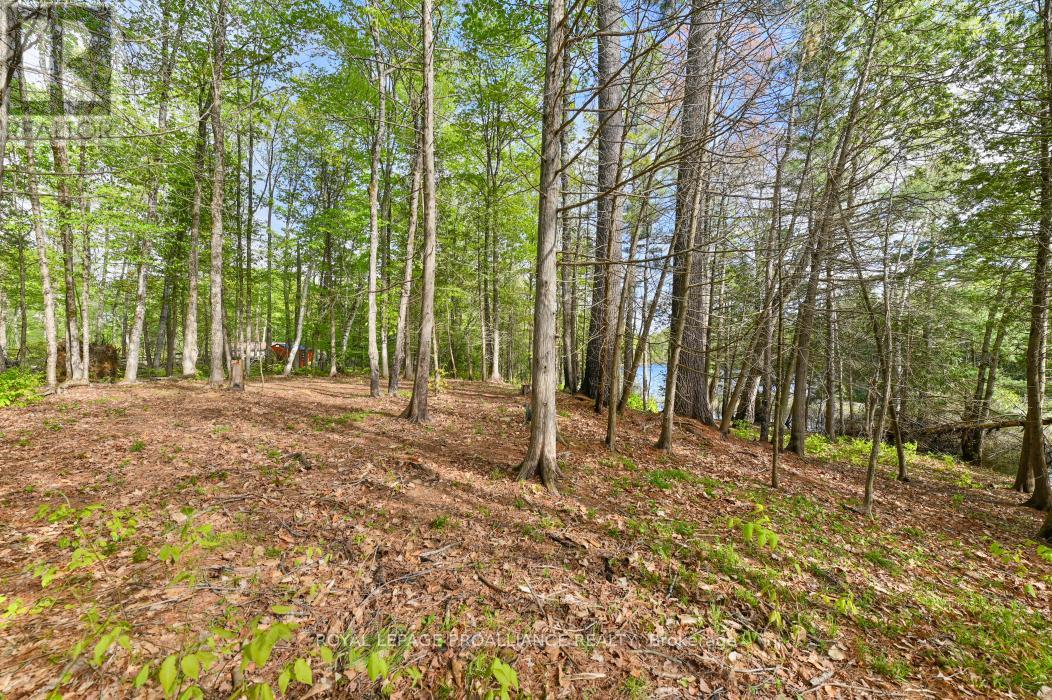 3776 B Buckshot Lake Road, Addington Highlands, Ontario  K0H 2M0 - Photo 7 - X12169921