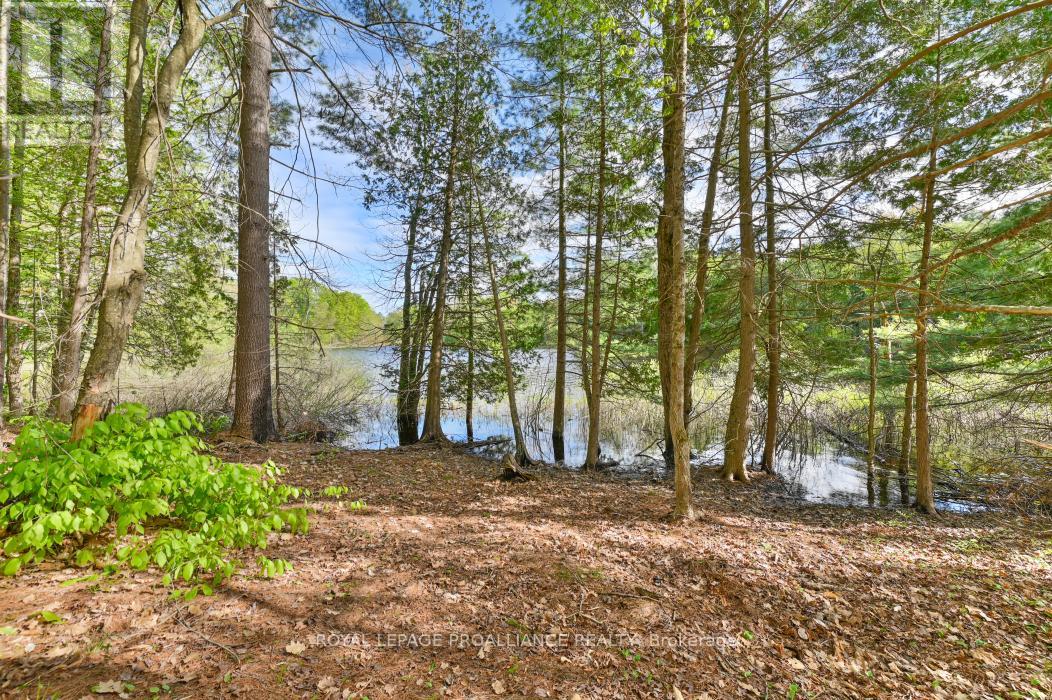 3776 B Buckshot Lake Road, Addington Highlands, Ontario  K0H 2M0 - Photo 8 - X12169921