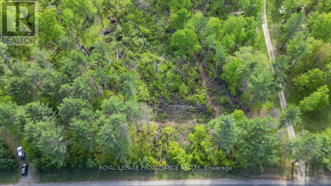 3776 B Buckshot Lake Road, Addington Highlands, Ontario  K0H 2M0 - Photo 9 - X12169921