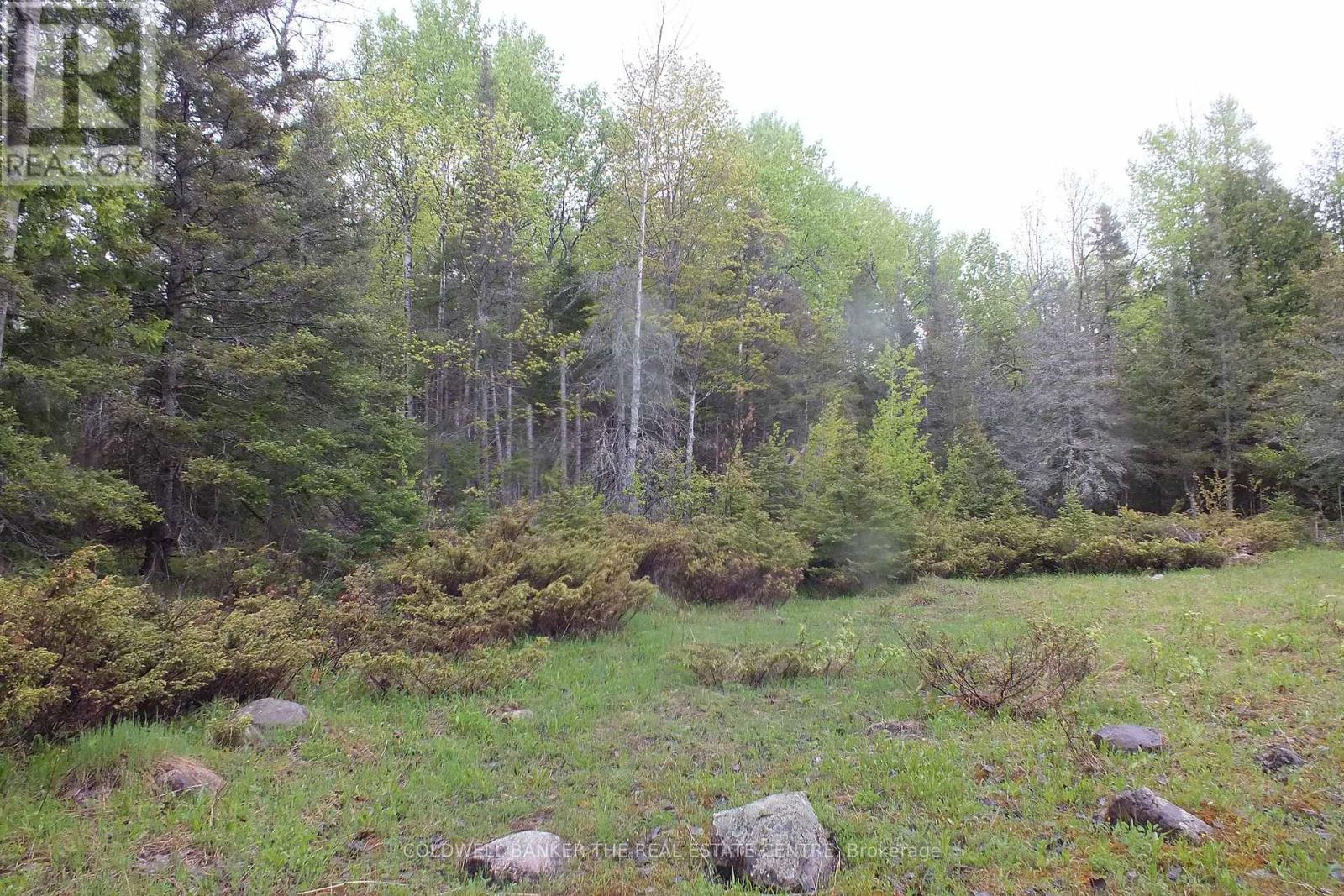 13476 Hwy. 542 Highway, Gordon/barrie Island, Ontario  P0P 1H0 - Photo 3 - X12136791