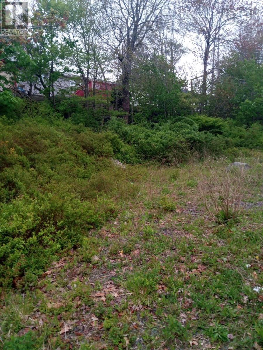 Lot B Melody Drive, Halifax, Nova Scotia  B3H 3B8 - Photo 3 - 202512025