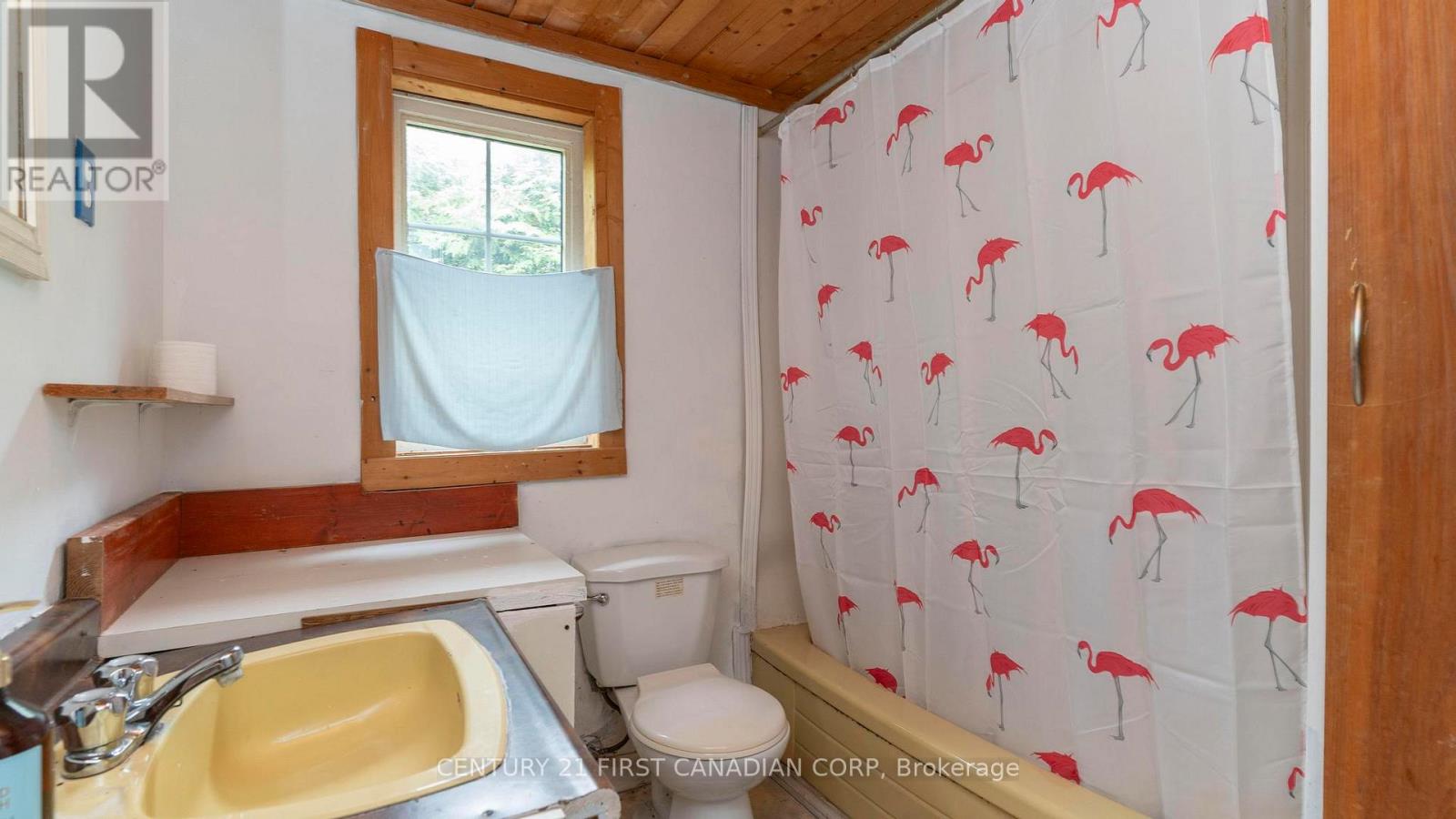 181 Wildwood Avenue, London South, Ontario  N6J 1B1 - Photo 49 - X12169998