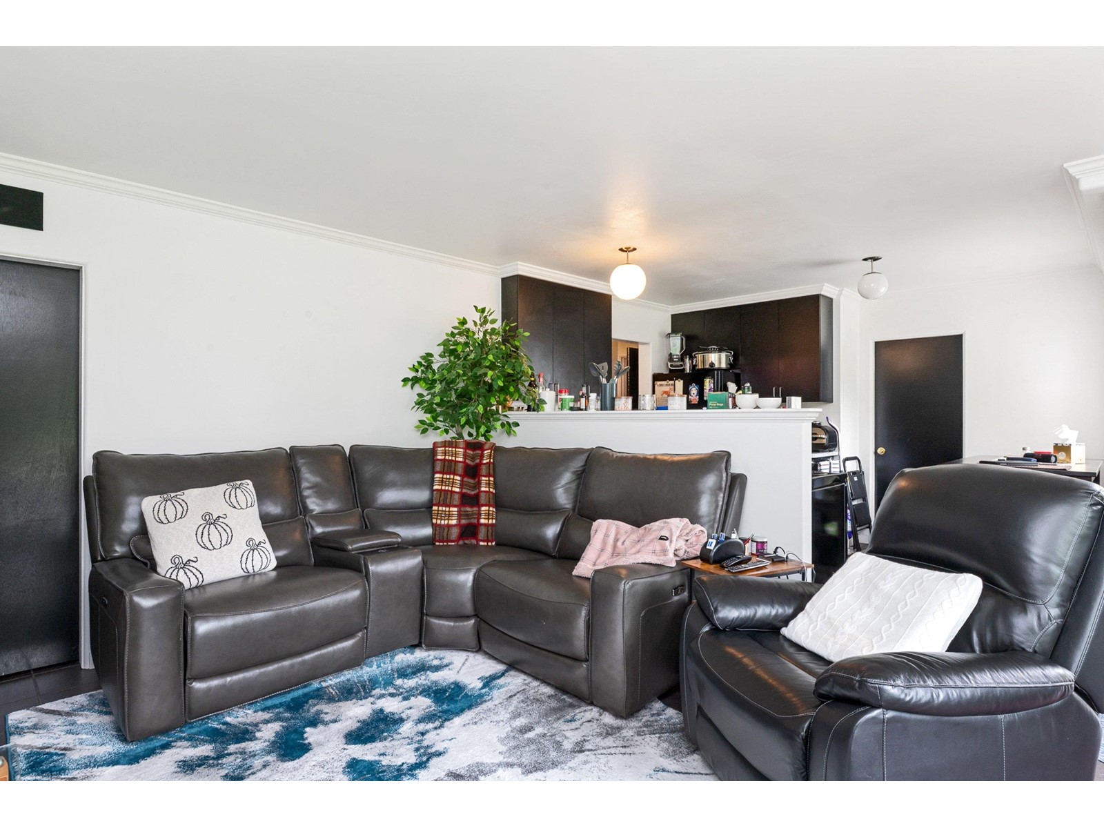 21799 48 AVENUE, Langley real estate listing R3006235 for sale