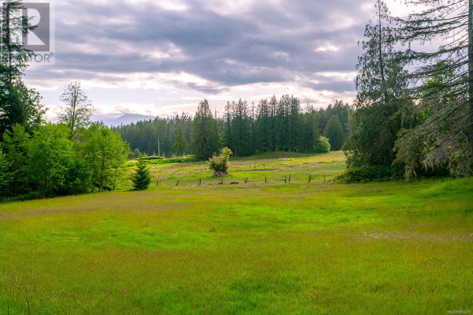 6987 Bainbridge Rd, Port Alberni, British Columbia  V9Y 8M4 - Photo 6 - 993079