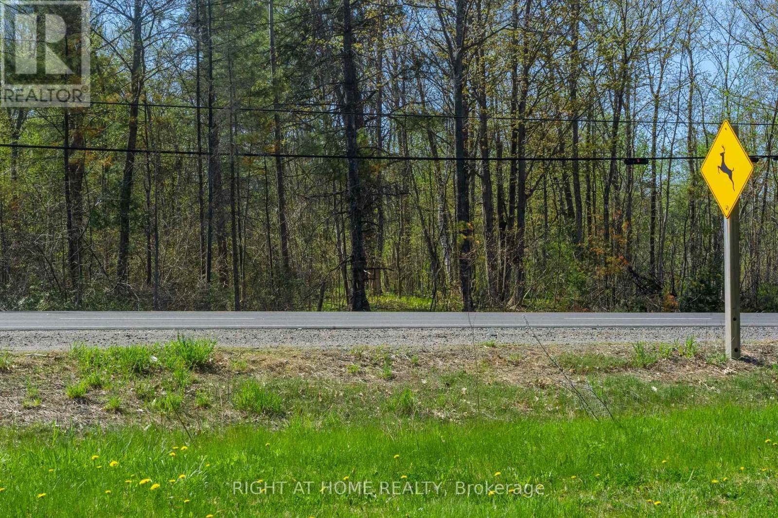 00 Hwy 7 Highway, Marmora And Lake, Ontario  K0K 2M0 - Photo 2 - X12061846