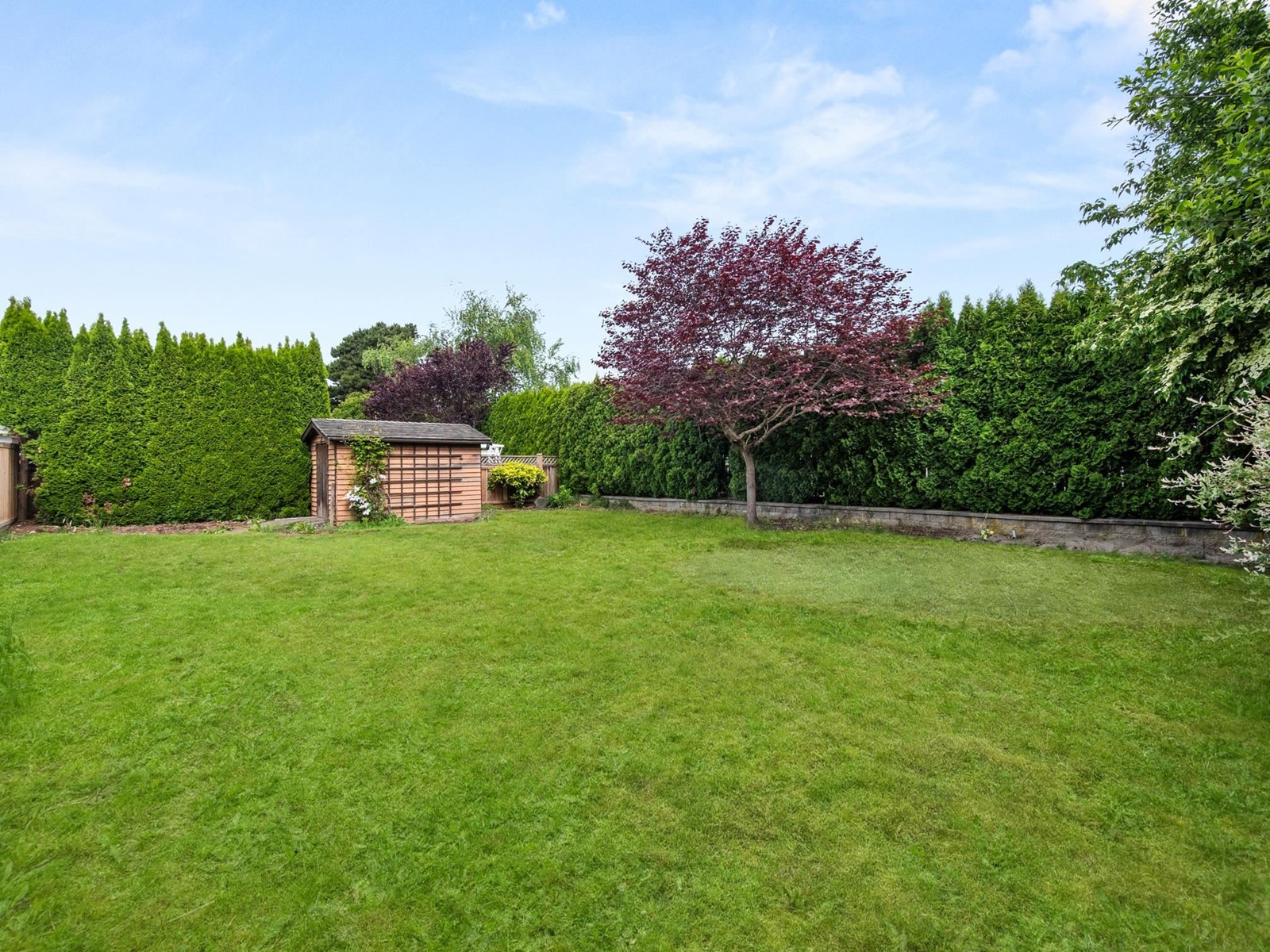 44389 ELSIE PLACE|Sardis South, Chilliwack real estate listing R3006344 for sale