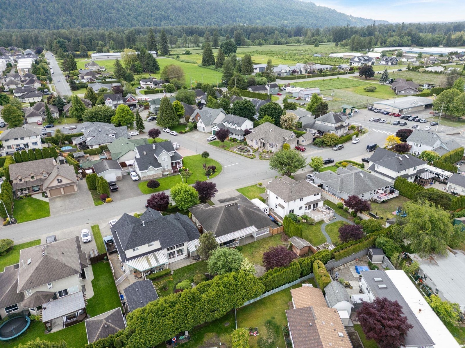 44389 ELSIE PLACE|Sardis South, Chilliwack real estate listing R3006344 for sale