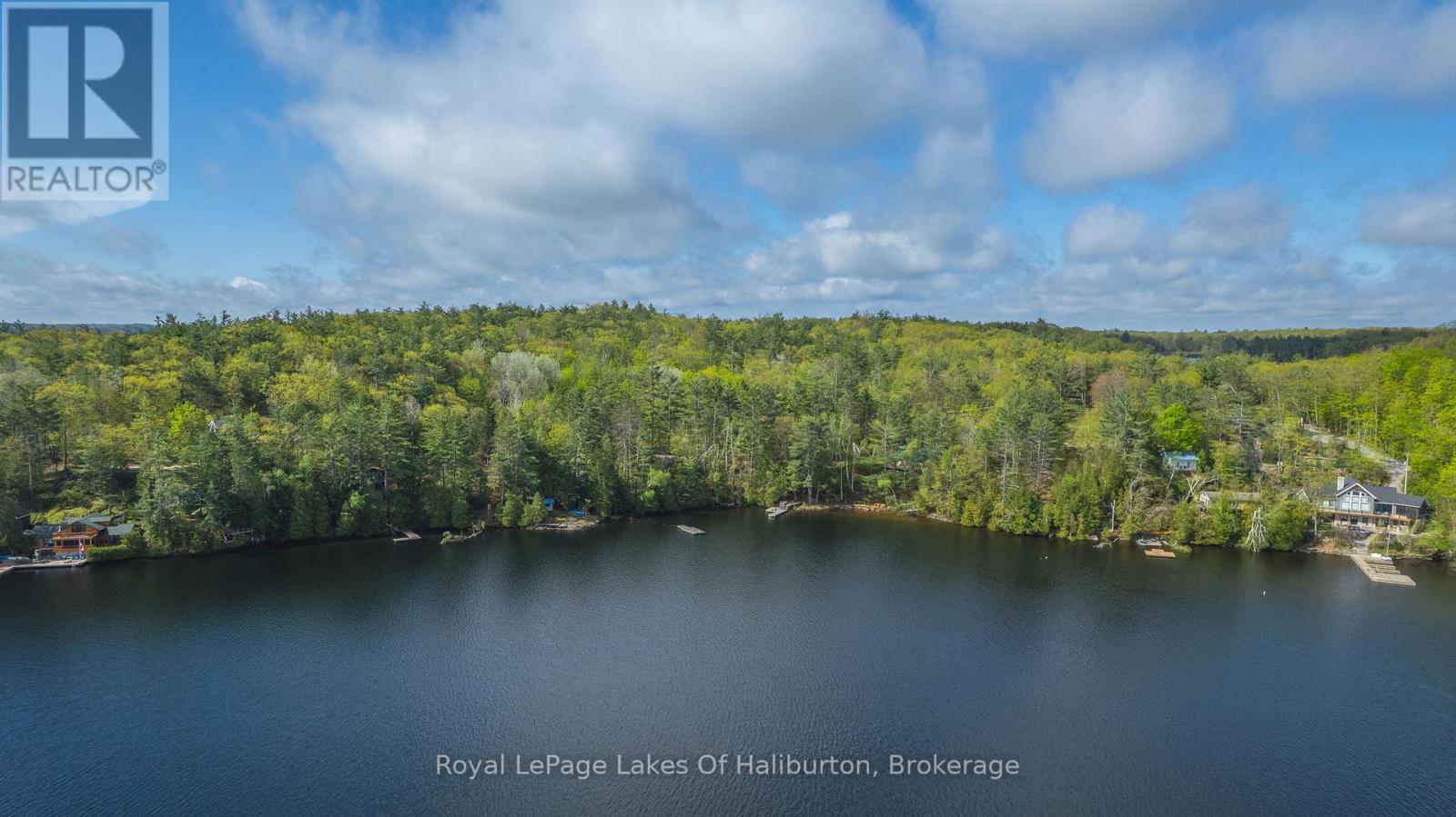 1029 Cam-Walt Trail, Minden Hills, Ontario  K0M 2K0 - Photo 42 - X12166173