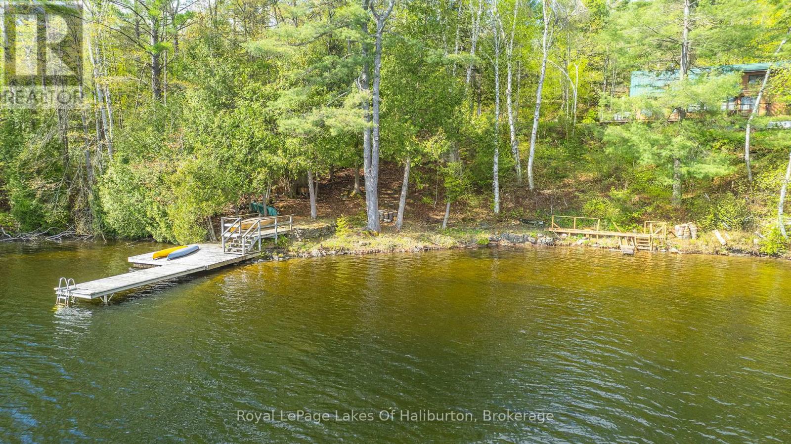 1029 Cam-Walt Trail, Minden Hills, Ontario  K0M 2K0 - Photo 6 - X12166173