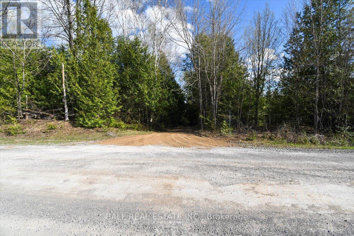 Pt Lts 11 & 12 As Part 2, Clydesdale Road, North Kawartha, Ontario  K0L 1A0 - Photo 3 - X12170361