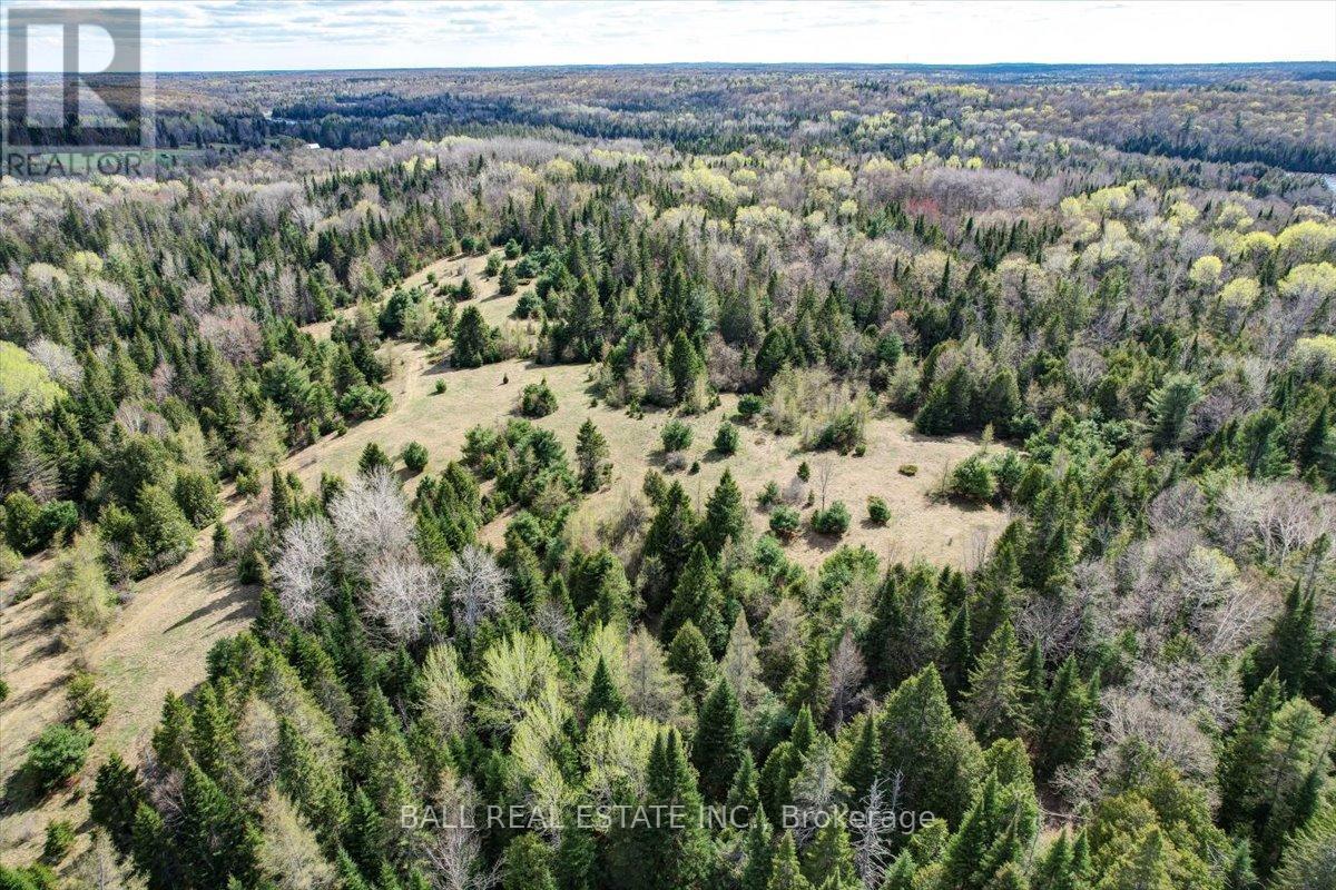 Pt Lts 11 & 12 As Part 2, Clydesdale Road, North Kawartha, Ontario  K0L 1A0 - Photo 8 - X12170361