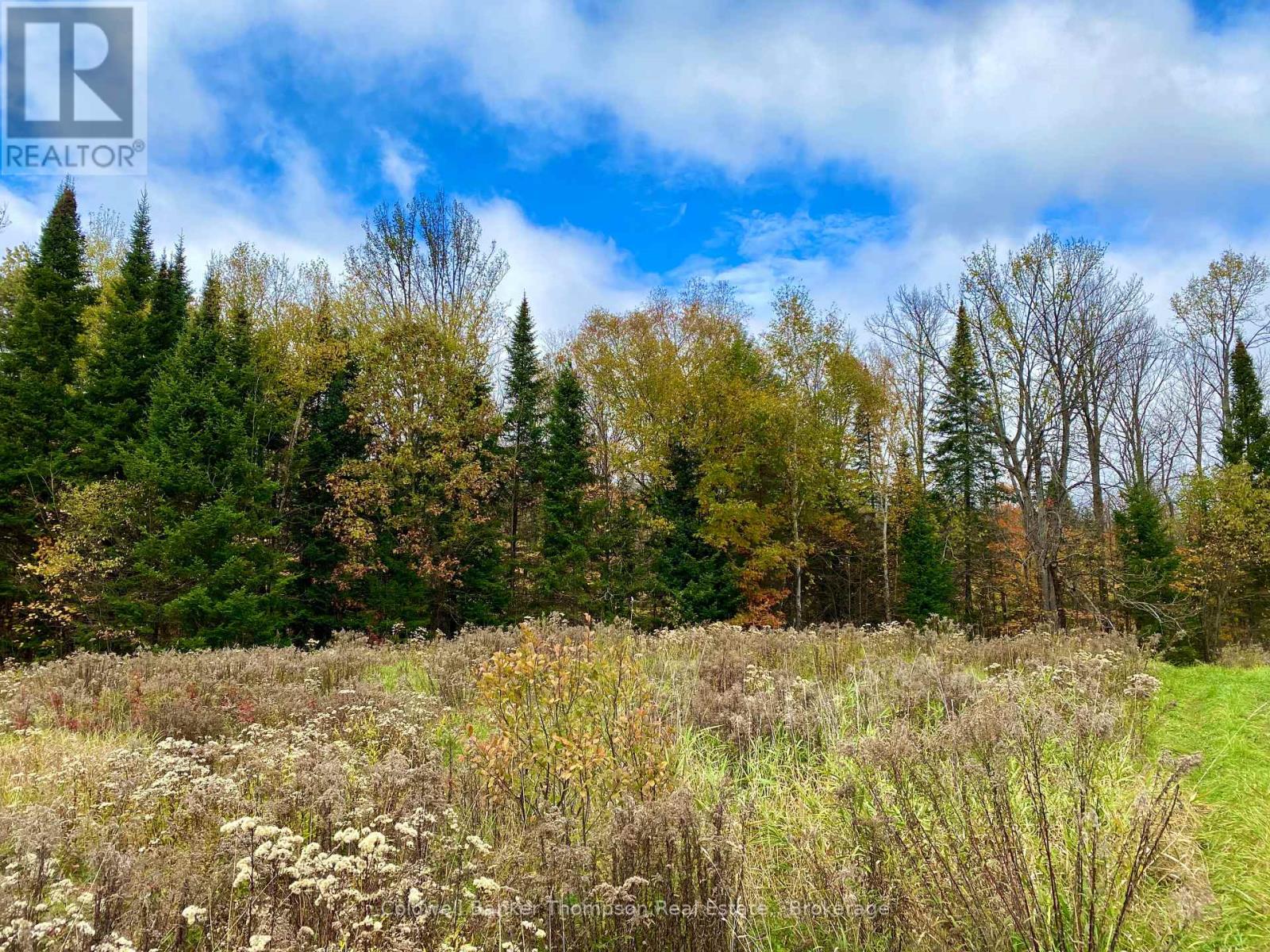 0 Brown Lane, Parry Sound Remote Area, Ontario  P0H 1S0 - Photo 10 - X12157399