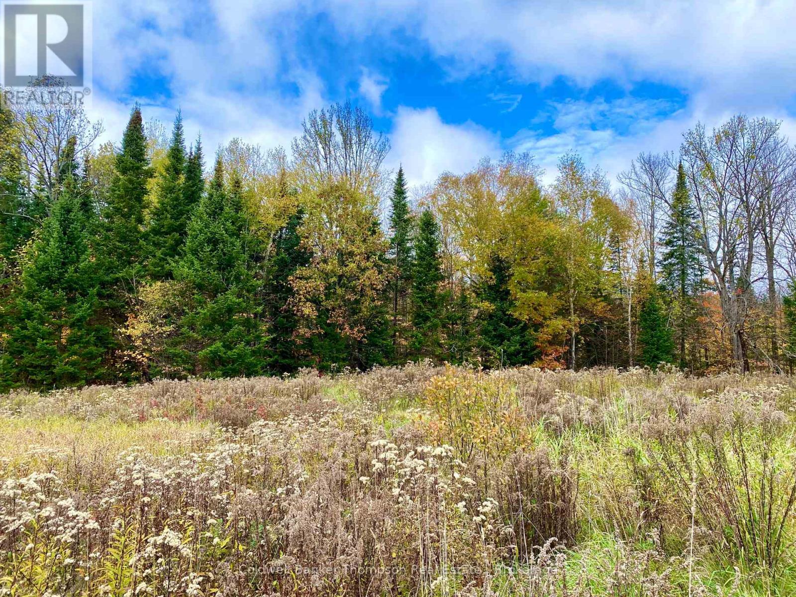 0 Brown Lane, Parry Sound Remote Area, Ontario  P0H 1S0 - Photo 11 - X12157399