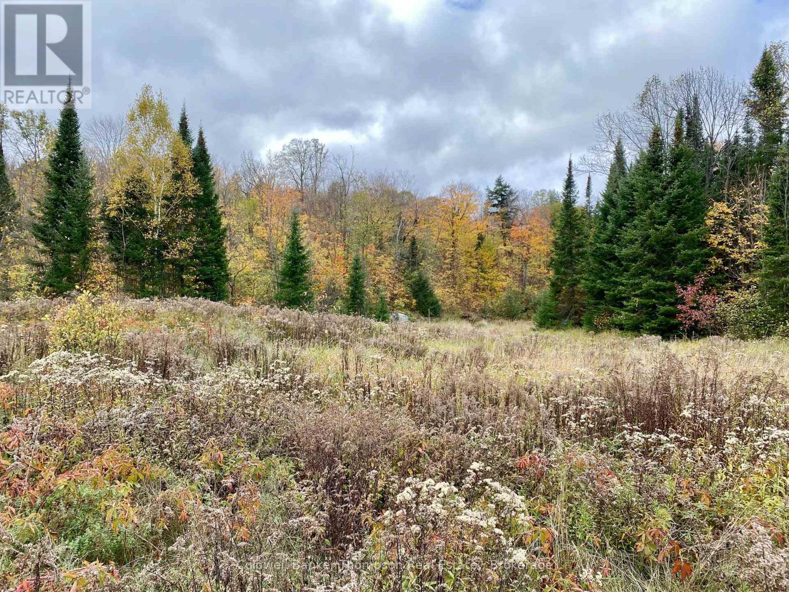 0 Brown Lane, Parry Sound Remote Area, Ontario  P0H 1S0 - Photo 12 - X12157399
