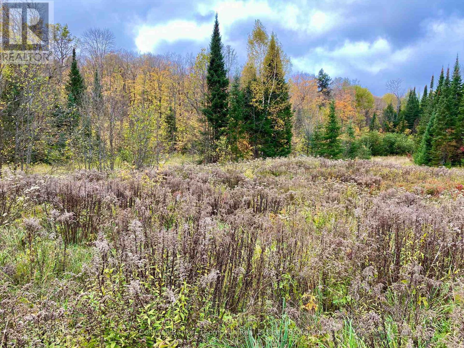 0 Brown Lane, Parry Sound Remote Area, Ontario  P0H 1S0 - Photo 13 - X12157399